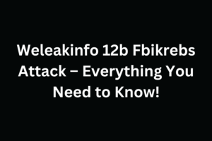 weleakinfo 12b fbikrebs